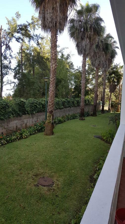 Apartment Pilar